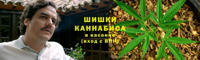 Конопля LSD WEED  закладки  Андреаполь 